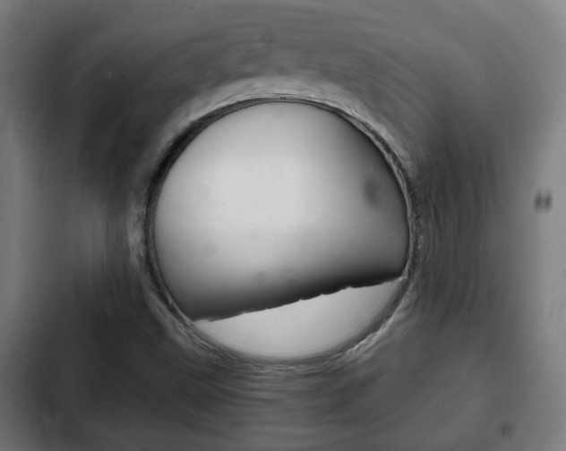 X0000103221499200808280913