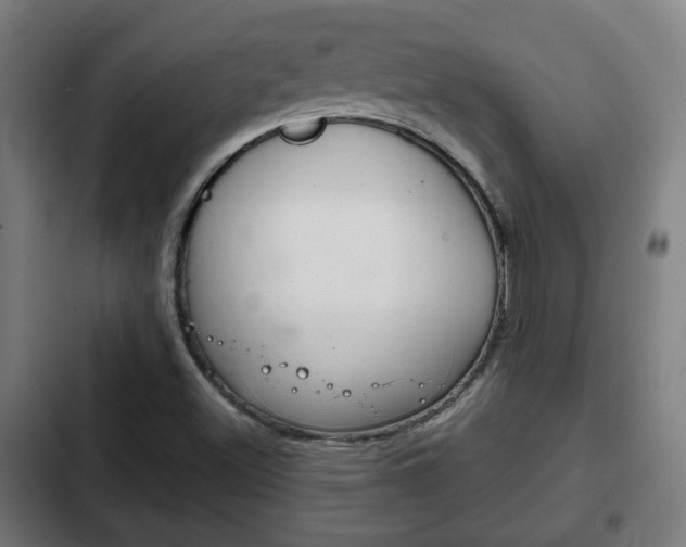 X0000103221500200808280913