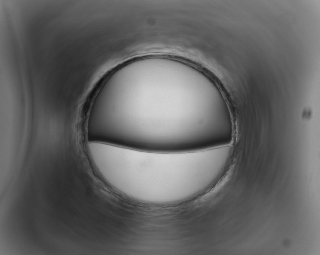 X0000103221501200808280913