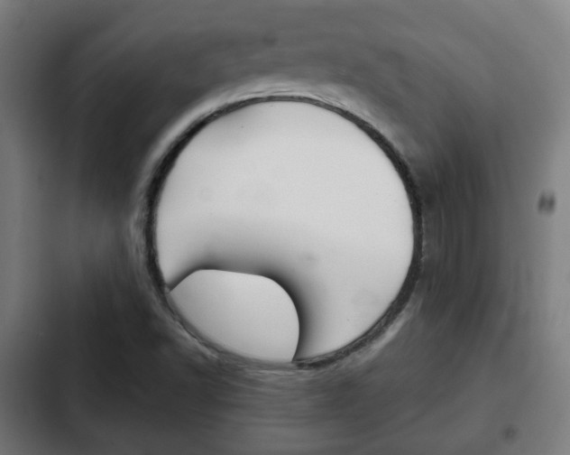 X0000103221502200808280913