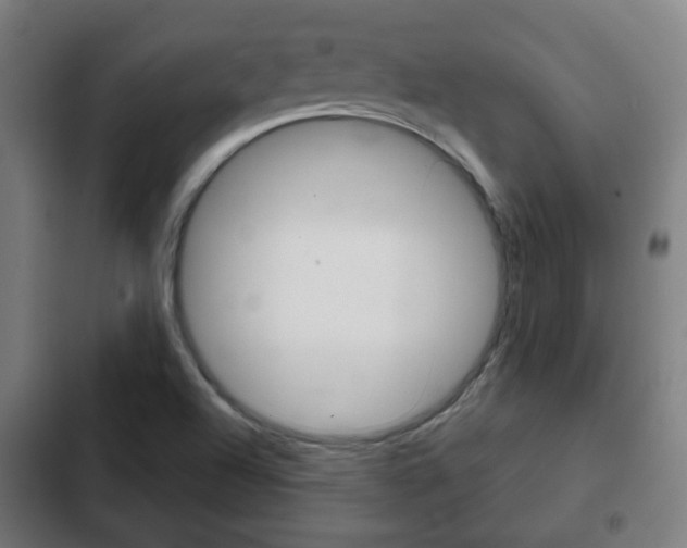 X0000103221504200808280914