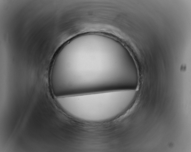 X0000103221505200808280914