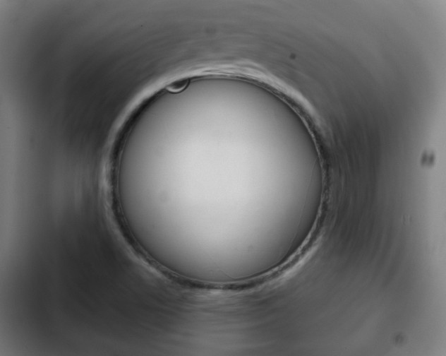 X0000103221506200808280914