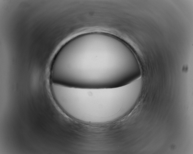 X0000103221508200808280914