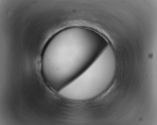 X0000103221509200808280914