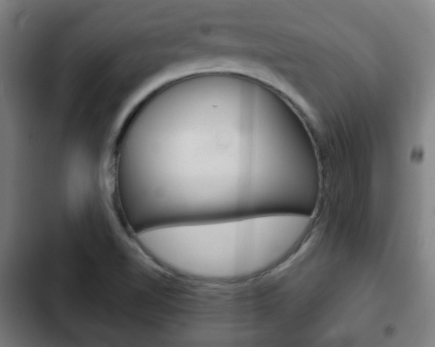 X0000103221510200808280914