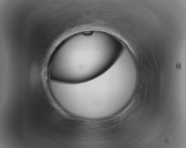 X0000103221511200808280914