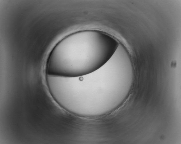 X0000103221512200808280914