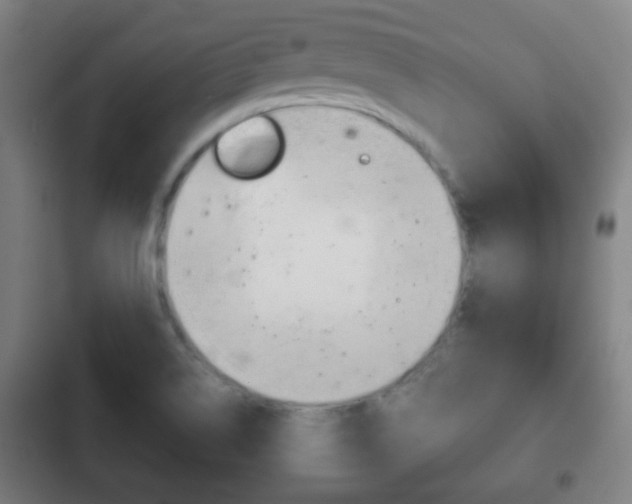 X0000103221514200808280914