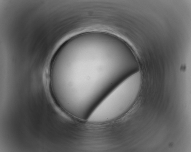 X0000103221515200808280914