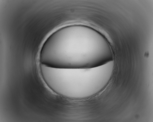 X0000103221516200808280914