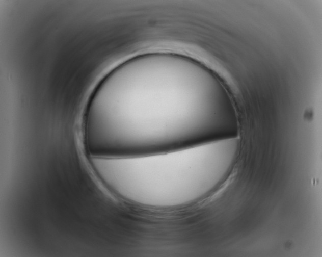 X0000103221517200808280914