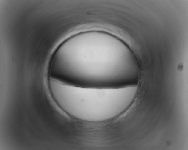 X0000103221518200808280914