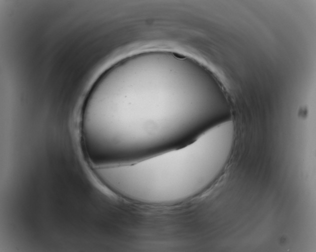 X0000103221519200808280914