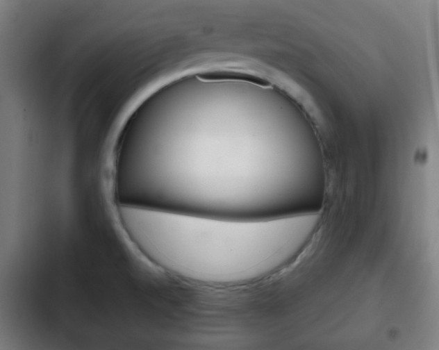 X0000103221520200808280914