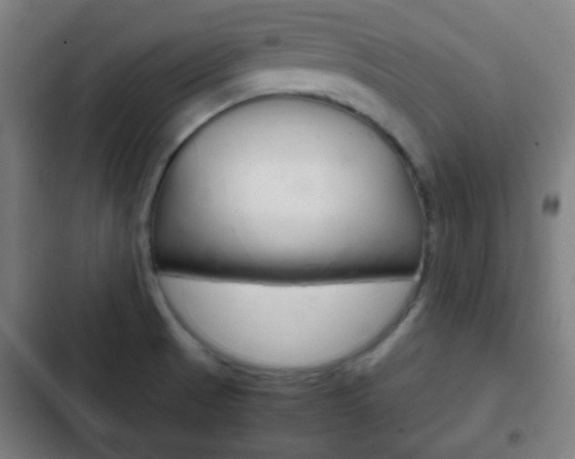 X0000103221521200808280914