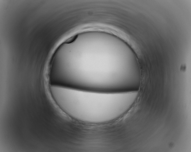 X0000103221522200808280914