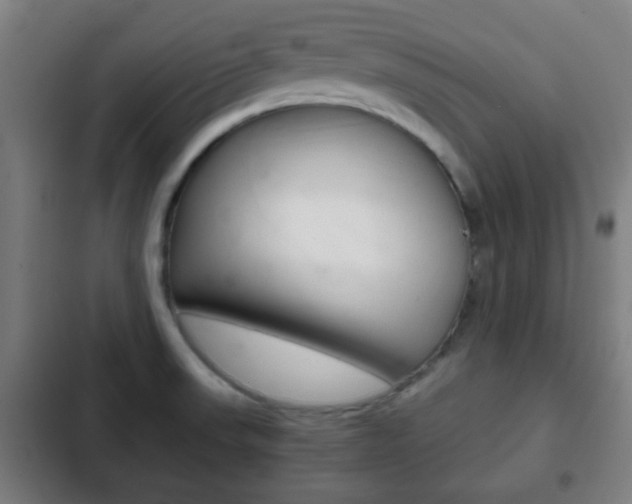 X0000103221523200808280914