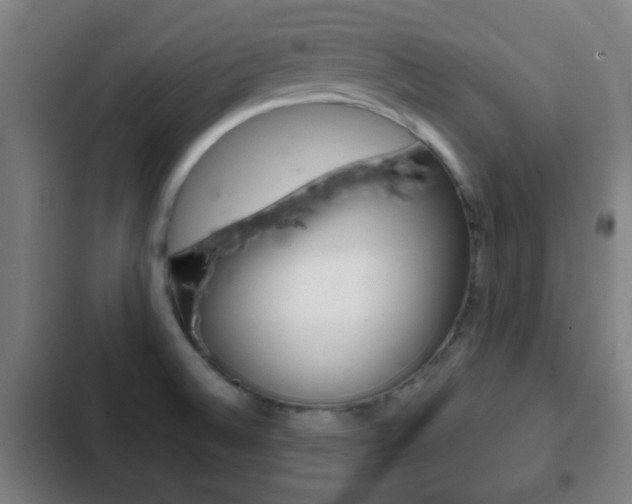 X0000103221524200808280914