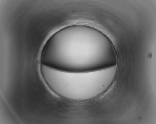 X0000103221525200808280914