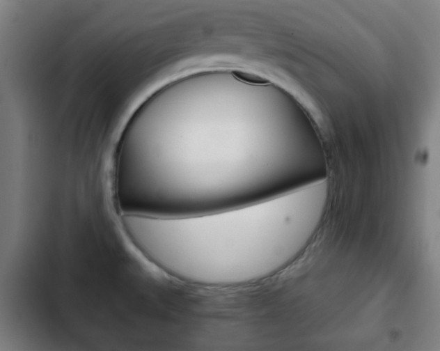 X0000103221527200808280914