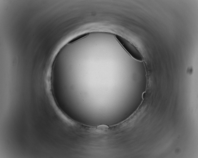 X0000103221528200808280914