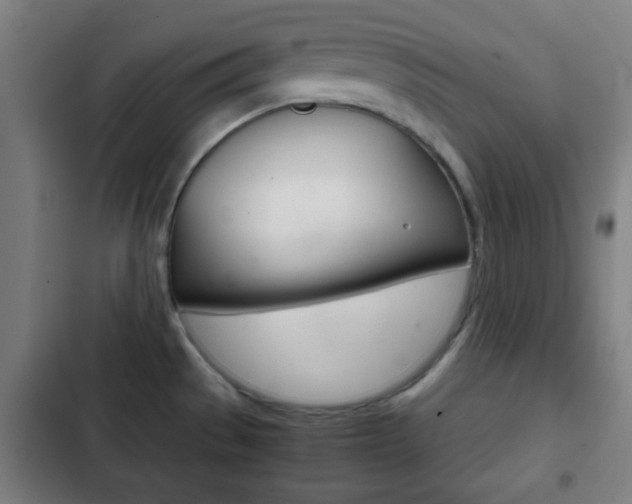 X0000103221529200808280914