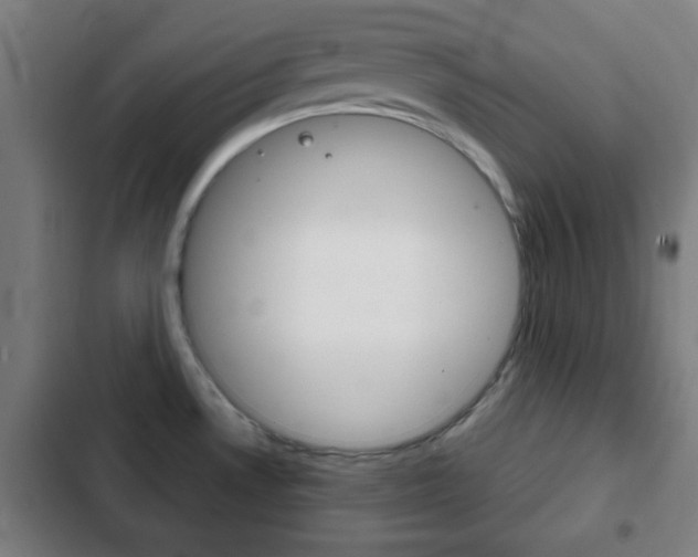 X0000103221530200808280914