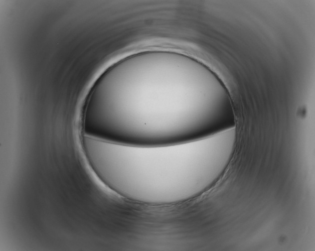 X0000103221531200808280914