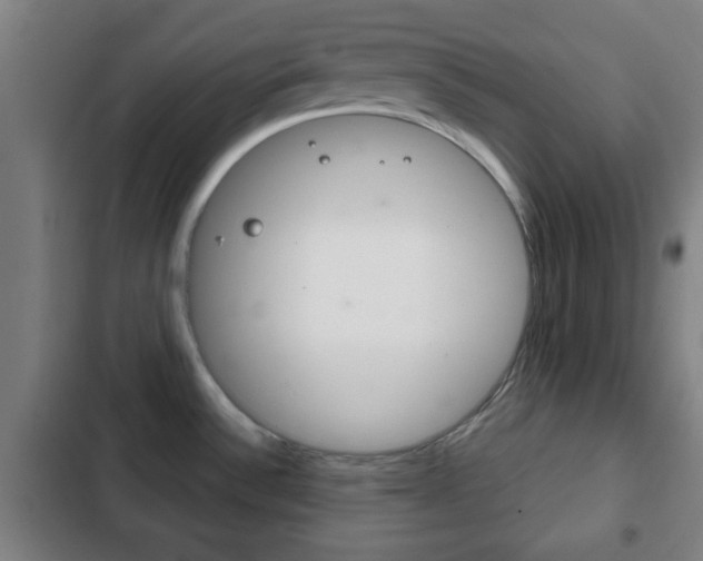 X0000103221532200808280914