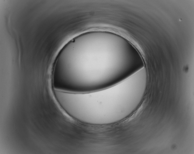 X0000103221533200808280914