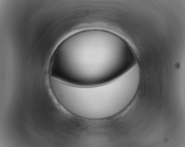 X0000103221534200808280914