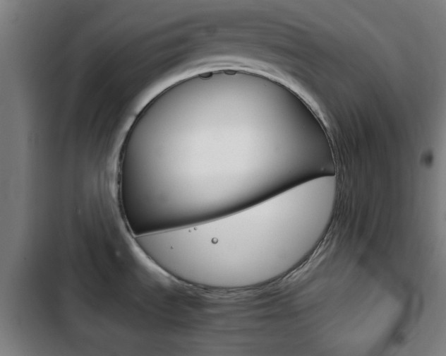 X0000103221535200808280914