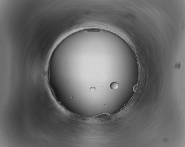 X0000103221536200808280914
