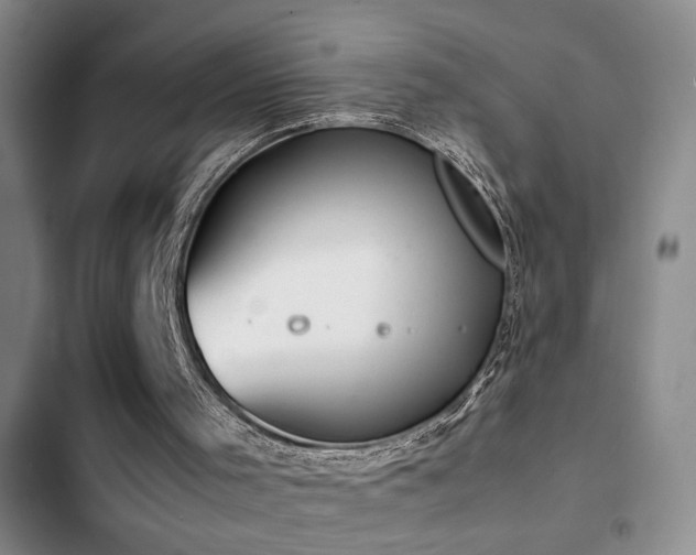 X0000103220001200808281418