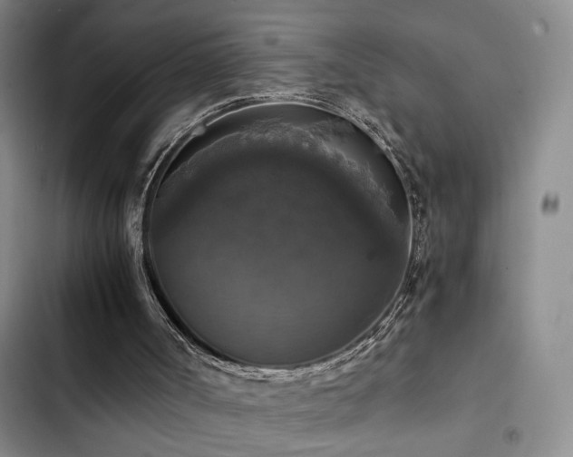 X0000103220002200808281418