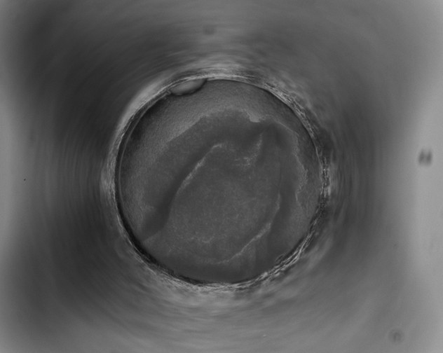 X0000103220004200808281418