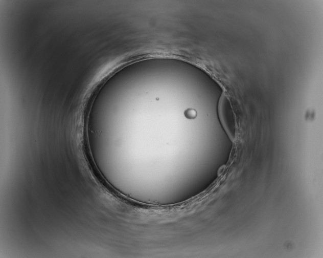 X0000103220005200808281418