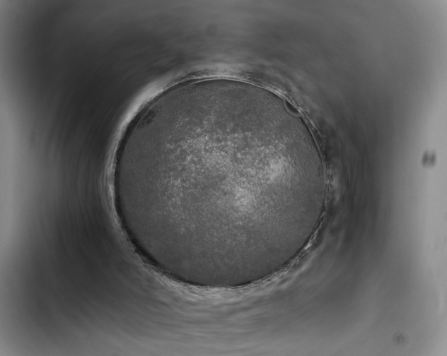 X0000103220006200808281418