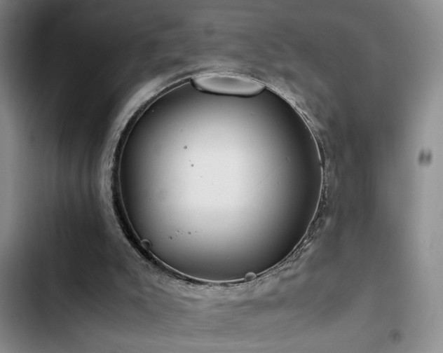 X0000103220007200808281418