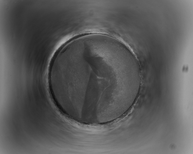 X0000103220008200808281418