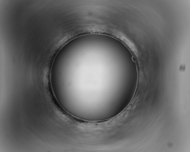 X0000103220009200808281418