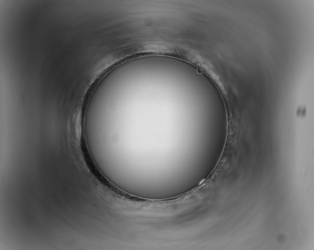 X0000103220011200808281418