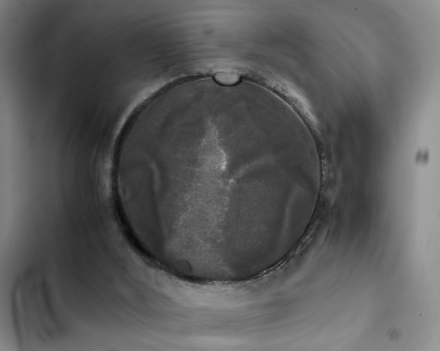 X0000103220012200808281418