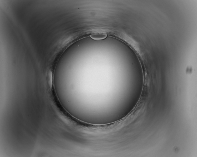 X0000103220013200808281418