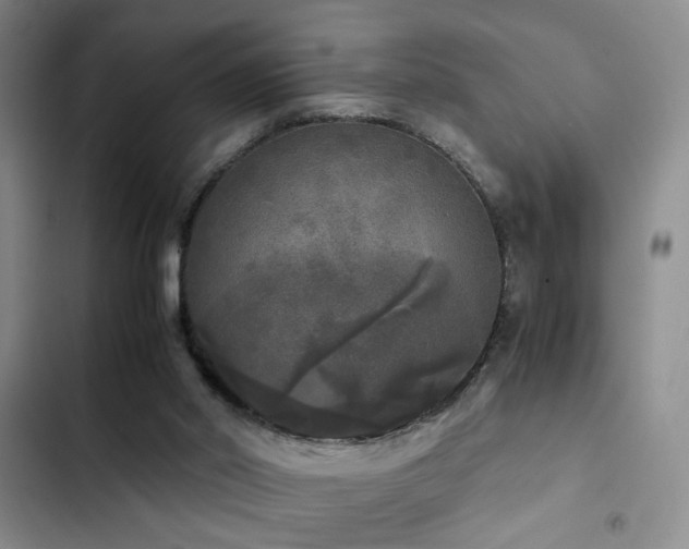 X0000103220014200808281418