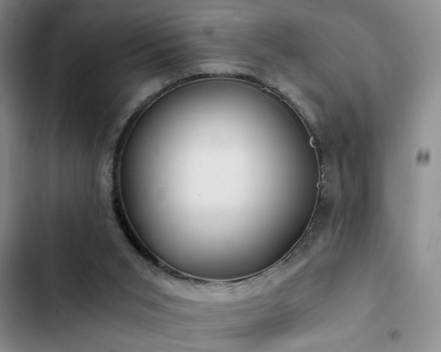 X0000103220015200808281418