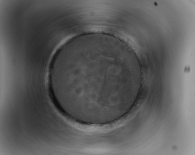 X0000103220016200808281418