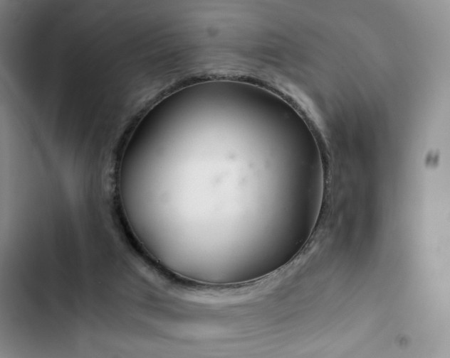 X0000103220017200808281418