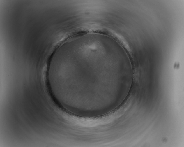 X0000103220018200808281418